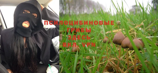 спиды Майский